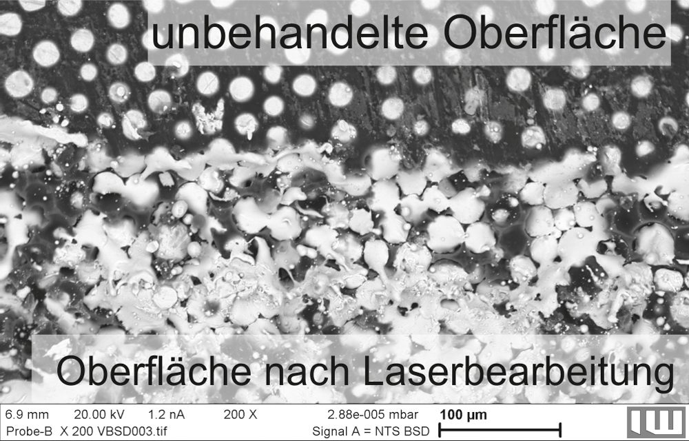 Rasterelektronen-mikroskopische Aufnahme des Metall-Polymer-Verbunds