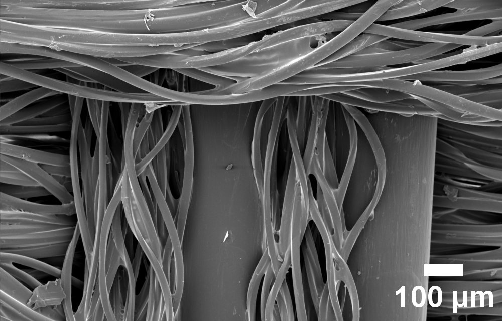 SEM image of a blended fabric made of PET and PE fibers.