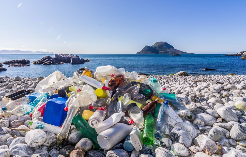 Müll aus dem Meer: Plastikflaschen am Strand